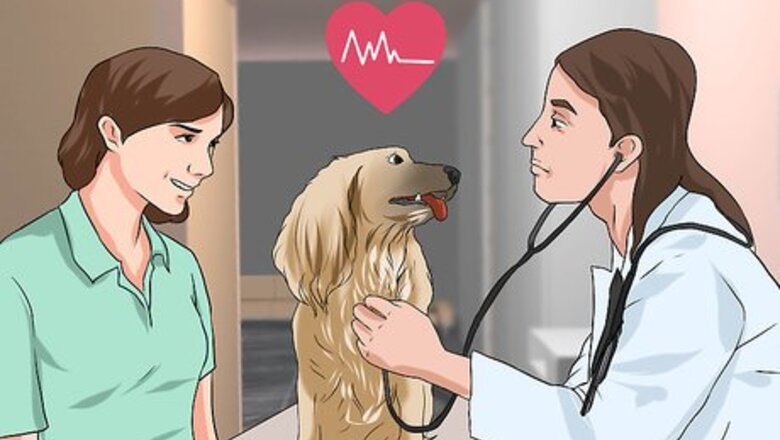 How to Treat Canine Cancer