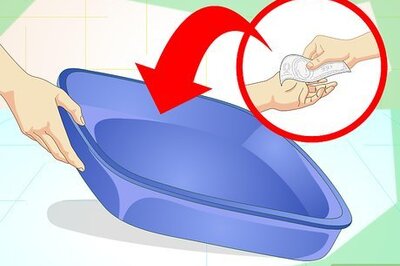 How to Teach Your Dog to Use a Litter Box