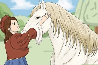 What Does a White Horse Symbolize?
