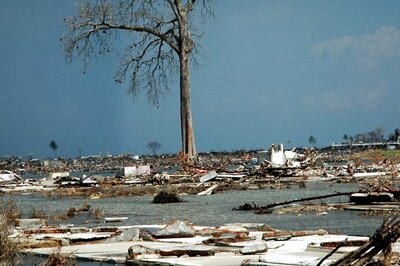Maharashtra: CIDCO Hands Over 68 Hectares of Mangrove Area to Forest Department in Navi Mumbai
