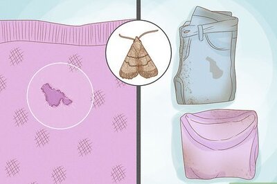 How to Get Rid of Moths
