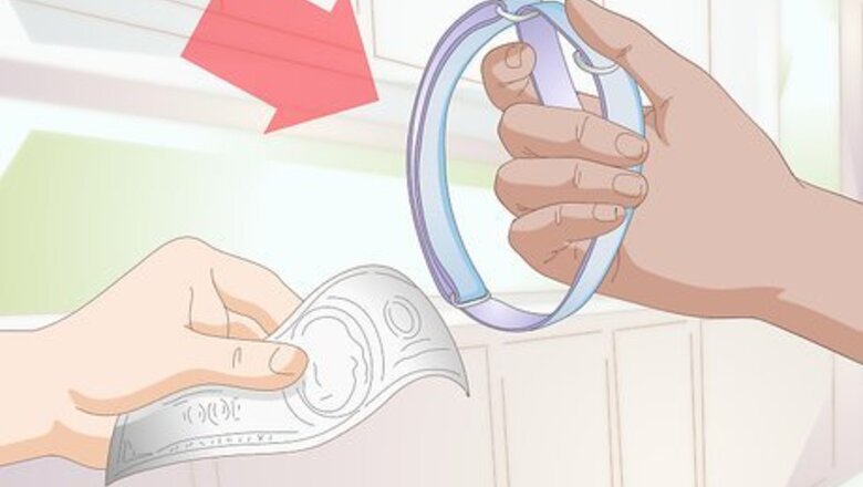 How to Get a Puppy Used to a Leash