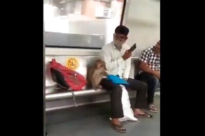 Monkey Roams Inside Delhi Metro Coach, Settles on a Seat Next to Passenger