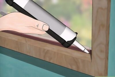 How to Keep Ants Out of Your House