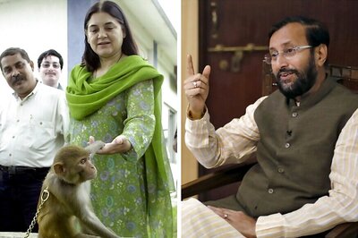 Javadekar's Environment Ministry Allows Culling of Animals, Maneka Fumes