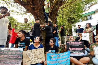 Delhi Assembly Committee to Visit Site of Tree Felling to Survey Damage