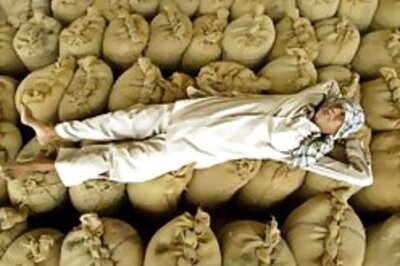 Govt slashes import duty on wheat