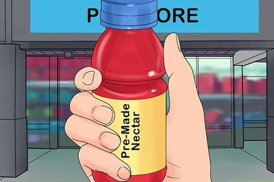 How to Feed a Lory or Lorikeet