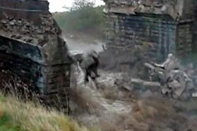 Heavy rains claim 16 lives in Andhra