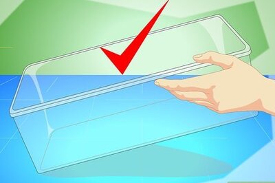 How to Care for Common Frog Tadpoles