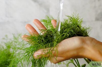 The Best Way to Store Dill in the Fridge or Freezer