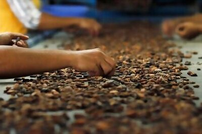 Cheaper cocoa may not be a recipe for lower chocolate prices