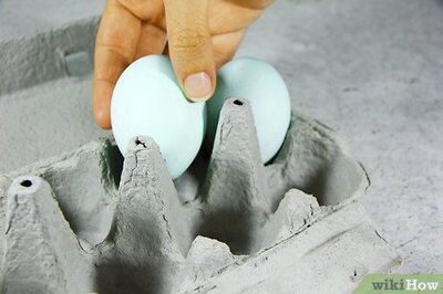 How to Store Duck Eggs