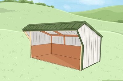 How to Care for Sheep