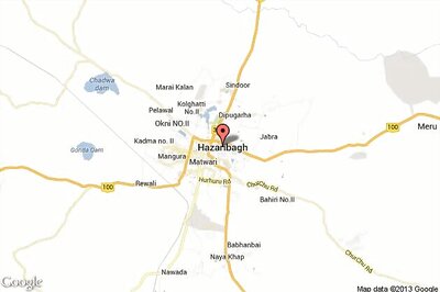 Herd of Elephants enters town, damages 'Gibraltar House'