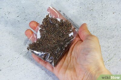 The Best Ways to Store & Keep Flaxseed Fresh