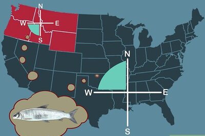 How to Catch Whitefish