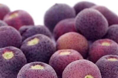 Why Phalsa Fruit Is A Must-add To Diabetic Patients’ Diet