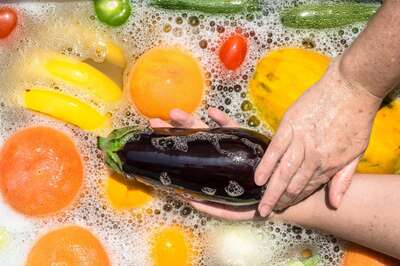 World Food Safety Day: 7 Tips to Keep Food Safe at Home