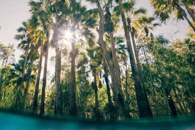 Bucket-list These Unique Australian Natural Experiences for The Summer