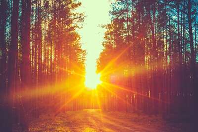 Aaj Ka Panchang, February 3, 2024: Tithi, Vrat, and Today’s Shubh, Ashubh Muhurat