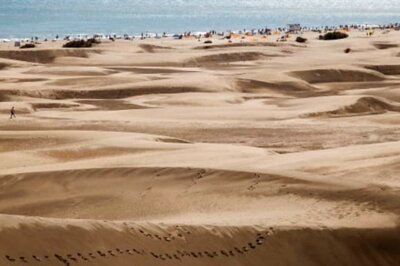 Nests for 'Pleasure Seekers', Discarded Condoms & Toilet Paper: Tourists Having Sex is Ruining This Beach