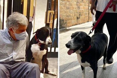 Ratan Tata’s Office Companion Dog ‘Goa’ Among Sea Of Mourners At Mumbai’s NCPA | Exclusive