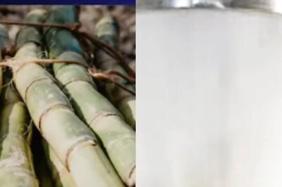 Mandya's Mysugar Factory Crushing Operations Begins. Aims To Mill 2.5 Lakh Tonnes Sugarcane