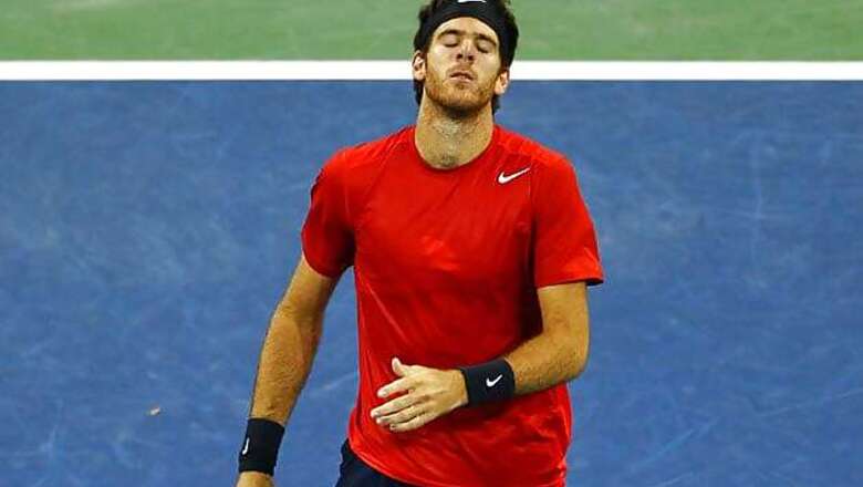 Del Potro beats Zemlja to win 12th title at Vienna