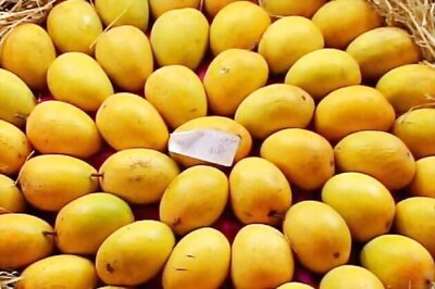 Government, industry ask EU to lift ban on India mango exports