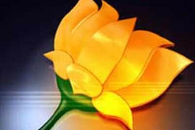 Katiyar in violation of model code of conduct case