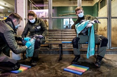 Bird Flu Outbreak: India Steps up Vigil to Curb Spread as 10 European Nations Also Hit