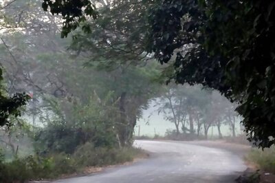 Vocal about Amazon Fires, Mumbai Cops' Twitter Handle Mute on Aarey Tree Felling