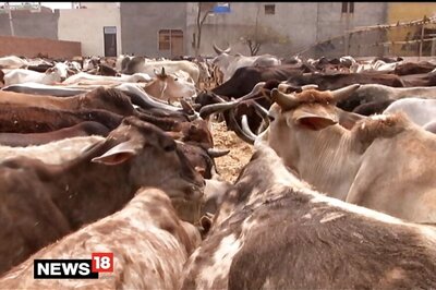 Three Lynched in West Bengal Over Alleged Cow Theft