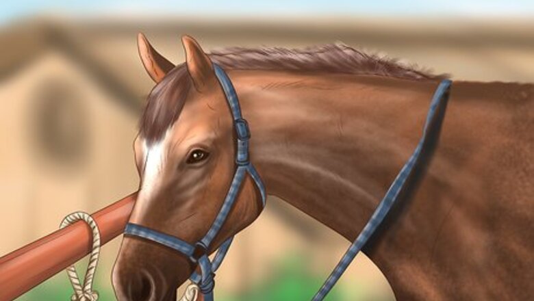 How to Maintain Good Hoof Care on Your Horse