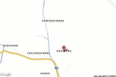 Mumbai: One arrested for allegedly molesting a British national