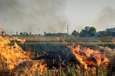 Stubble Fires On Decline In Punjab, Haryana After Record Peak in 2021, But Total Cases Still High