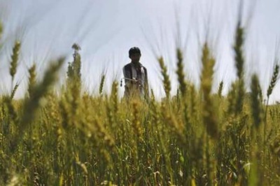 UK Firm Skyline Strikes Insurance Pact in India to Protect Farmers