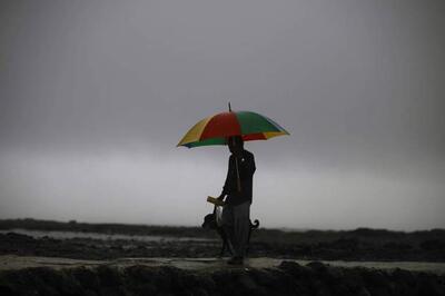 Light to moderate rainfall continues in parts of Rajasthan