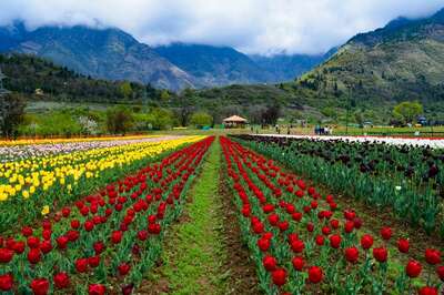 5 Romantic Destinations In North India To Celebrate Valentine’s Week