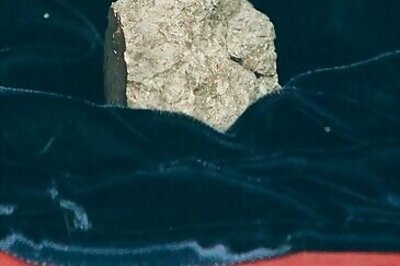 Study Nixes Mars Life In Meteorite Found In Antarctica