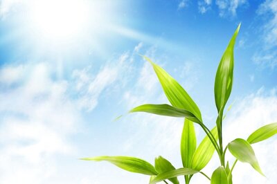 Modi Announces Launch of India-US Clean Energy Partnership at Global Climate Summit