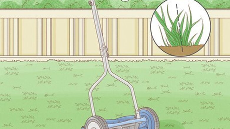How to Maintain Bermuda Grass