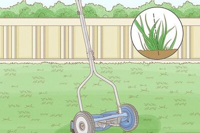How to Maintain Bermuda Grass