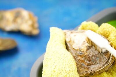 How to Clean Oysters