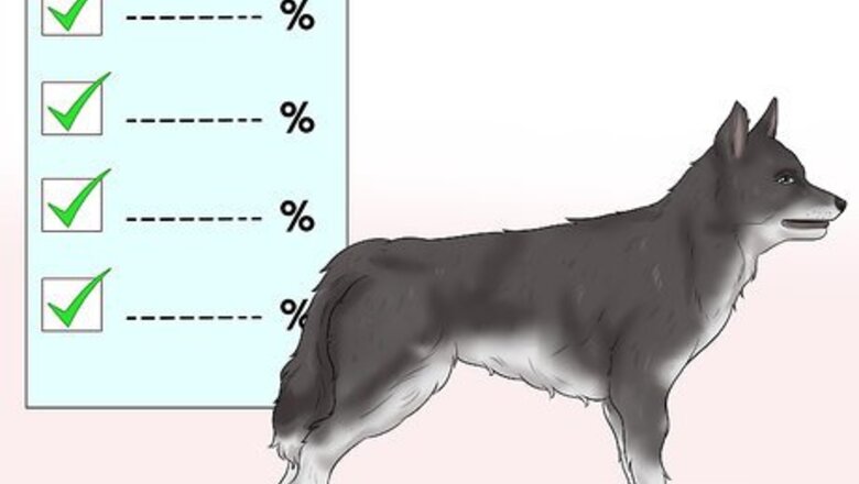 How to Become a Dog Show Judge