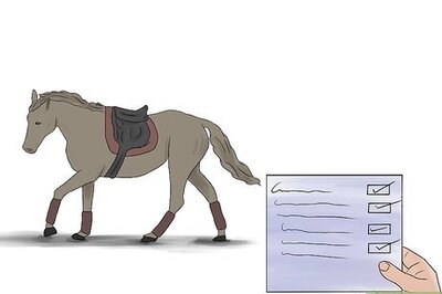 How to Sell a Horse Quickly