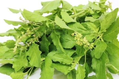 Do You Know About These Amazing Health Benefits of Tulsi?