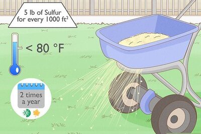 How Often to Apply Sulfur to Your Yard