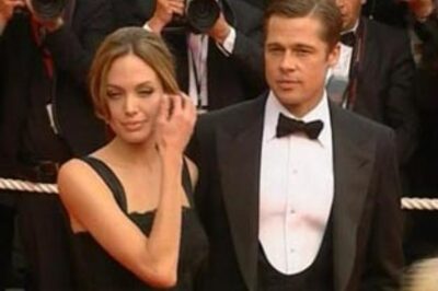 Brangelina quash split rumours